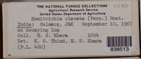 Image Associated With the Occurence